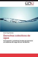 Derechos colectivos de agua 3847359266 Book Cover