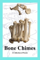 Bone Chimes 0359907504 Book Cover