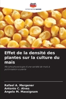 Effet de la densité des plantes sur la culture du maïs (French Edition) 6208193761 Book Cover
