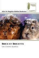 Brice et Bricette (French Edition) 6204976265 Book Cover