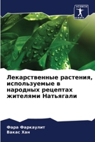 Лекарственные растения, используемые в народных рецептах жителями Натьягали 6206221776 Book Cover