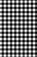 Publish Her Journal (Gingham) 1962457540 Book Cover