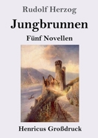 Jungbrunnen (Großdruck) (German Edition) 3847838237 Book Cover
