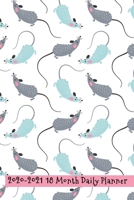 2020 - 2021 18 Month Daily Planner: Pretty Blue and Gray Pet Rat Cover Daily Organizer Calendar Agenda 6x9 Work, Travel, School Home Monthly Yearly Views To Do Lists Blank Notes Birthday Anniversary R 1710026359 Book Cover