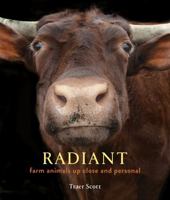 Radiant: Farm Animals Up Close and Personal (Farm Animal Photography Book) 1616897155 Book Cover