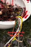 Starting An Ifa Way Of Life B0GZJTYSY4 Book Cover
