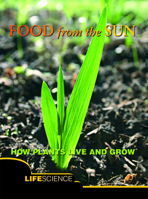 Alimentos producidos por el sol: Food From the Sun 1612362354 Book Cover