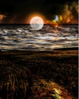 The Perfect Duet B0BWTYQ68Y Book Cover