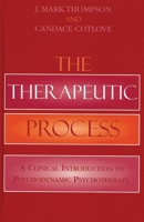 The Therapeutic Process: A Clinical Introduction to Psychodynamic Psychotherapy 0765703297 Book Cover