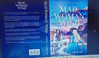 Mad Woman Wind 1732326428 Book Cover