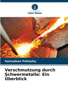 Verschmutzung durch Schwermetalle: Ein Überblick 6205650800 Book Cover