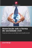 Associação sob a forma de sociedade civil (Portuguese Edition) 6209747043 Book Cover