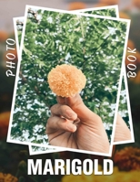 Marigold Photo Book: Stunning Display of Vibrant Flowers Through 40 Inspired Images for Nature Lovers B0DPT5P8J3 Book Cover