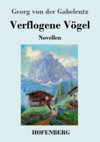 Verflogene Vögel: Novellen 3743743086 Book Cover