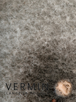 Vermin 1897388926 Book Cover