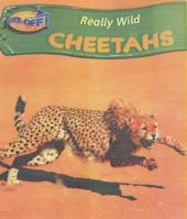 Take-off! Really Wild: Cheetah 0431029040 Book Cover