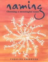 Naming: Choosing a Meaningful Name 1869890566 Book Cover