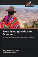 Pluralismo giuridico in Ecuador (Italian Edition) 6208151201 Book Cover
