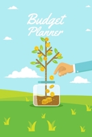 Budget Planner: Monthly financial planning budget log book with income expenses tracker saving budgeting and more for personal or business accounting 1655400584 Book Cover