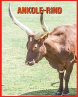 Ankole-Rind: Erstaunliche Fakten über Ankole-Rind B08WS5LBHJ Book Cover