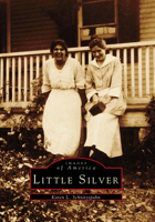 Little Silver 0752402846 Book Cover