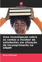 Uma investigação sobre as contas a receber de estudantes em situação de incumprimento na UNAM (Portuguese Edition) 6208019028 Book Cover