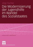 Die Modernisierung Der Jugendhilfe Im Wandel Des Sozialstaates 3531147617 Book Cover