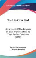 The Life of a Bird: An Account of the Progress of Birds from the Nest to Their Perfect Condition (Classic Reprint) 0548775168 Book Cover