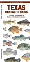 Texas Freshwater Fishes: A Waterproof Folding Guide to Familiar Species 1620055589 Book Cover