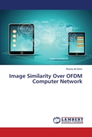 Image Similarity Over OFDM Computer Network 6139894131 Book Cover