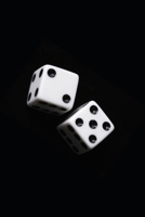 The Black Dice B0C1JDQL81 Book Cover