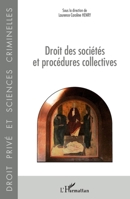 Droit des sociétés et procédures collectives (Droit Privé Et Sciences Criminelles) (French Edition) 2343138427 Book Cover