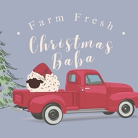 Christmas Baba: Seek & Find Little Baba Christmas Book For Babies & Toddlers Ages 0-3 B0CLCY6D63 Book Cover