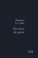 Dix rêves de pierre 2234074770 Book Cover