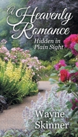 A Heavenly Romance: Hidden in Plain Sight 1479609269 Book Cover