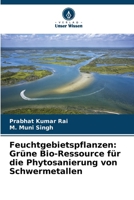 Feuchtgebietspflanzen: Grüne Bio-Ressource für die Phytosanierung von Schwermetallen (German Edition) 6209625592 Book Cover