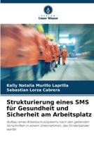 Strukturierung eines SMS für Gesundheit und Sicherheit am Arbeitsplatz (German Edition) 6207132564 Book Cover