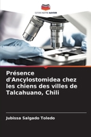 Présence d'Ancylostomidea chez les chiens des villes de Talcahuano, Chili (French Edition) 6206937488 Book Cover
