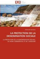 LA PROTECTION DE LA DENOMINATION SOCIALE: LA PROTECTION DE LA DENOMINATION SOCIALE, DU NOM COMMERCIAL ET DE L'ENSEIGNE (Omn.Univ.Europ.) 6131527741 Book Cover