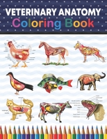 Veterinary Anatomy Coloring Book: Veterinary Anatomy Coloring & Activity Book for Kids. An Entertaining And Instructive Guide To Veterinary Anatomy. ... Anatomy Student Self Test Coloring Workbook. B08VYKJ1MW Book Cover