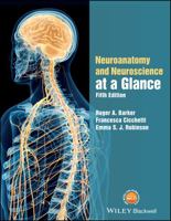 Neuroanatomy and Neuroscience at a Glance 0470657685 Book Cover