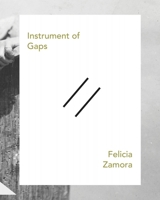 Instrument of Gaps 0988522160 Book Cover