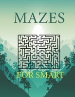 Mazes For Smart: Maze Activity Book Workbook for Puzzles, B094LJ5CTF Book Cover