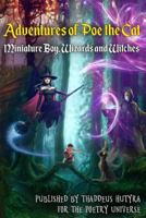 Adventures of Poe the Cat: Miniature Boy, Wizards and Witches 1547047291 Book Cover