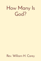 How Many Is God? B09TX92RTD Book Cover