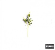 Olive Branch