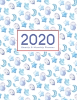 2020 Planner Weekly & Monthly 8.5x11 Inch: What's in the Blue Sky? One Year Weekly and Monthly Planner + Calendar Views 1698888953 Book Cover