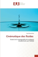 Cinématique des fluides: Etude de la topographie de quelques écoulements par Matlab 6203426342 Book Cover