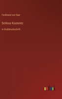 Schloss Kostenitz: in Großdruckschrift 3368292021 Book Cover