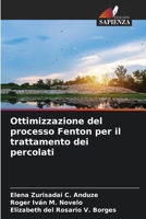 Ottimizzazione del processo Fenton per il trattamento dei percolati (Italian Edition) 6208954797 Book Cover